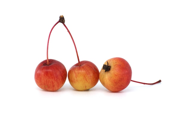 Jabłko krabowe lub europejskie dzikie jabłko izolowane na białym tle