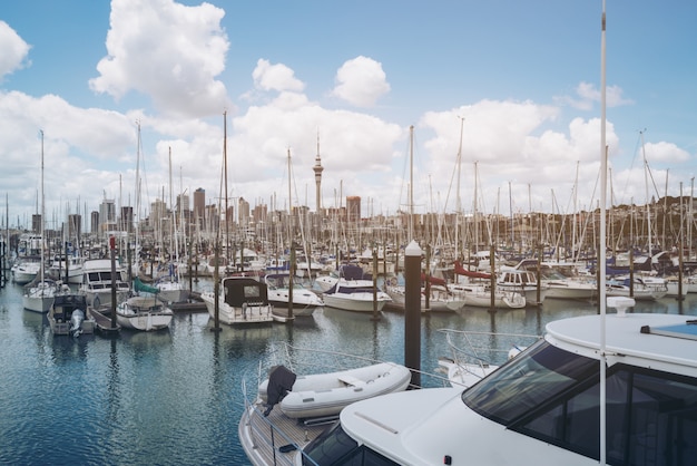 Zdjęcie jacht przy schronieniem w auckland, nowa zelandia