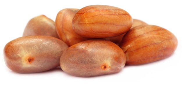 Jackfruit świeży i ekologiczny