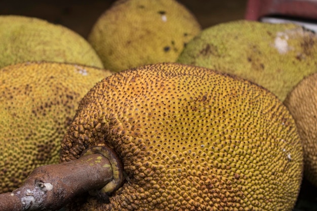 Jackfruit znany jako jaca na drewnianym stole gotowy do spożycia Słynny owoc z Brazylii Gatunek Artocarpus heterophyllus