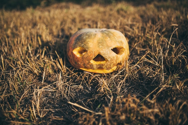 Jacko'lantern jeden z symboli Halloween