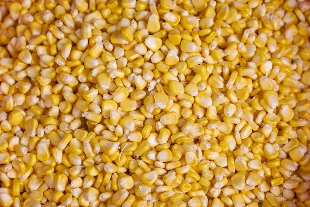 Zdjęcie jądra kukurydzy na rynku w wietnamie