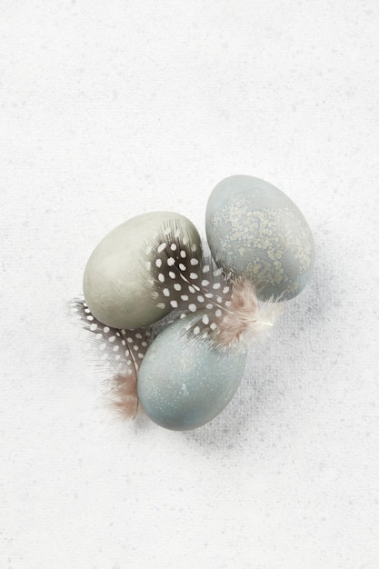Jaja i pióra na szarym tle koncepcja obchodów wielkanocnych
