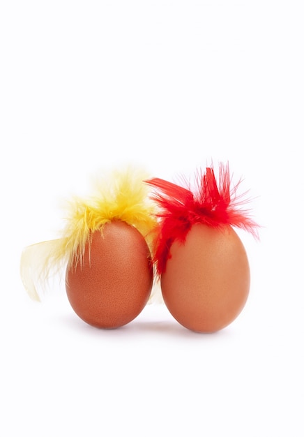 Jaja kurze białe tło jajko czerwone żółte pióra isoiated włosy brązowy knebel dwa
