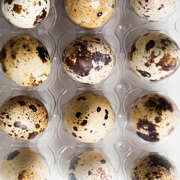 Jaja przepiórcze są izolowane na białym tle