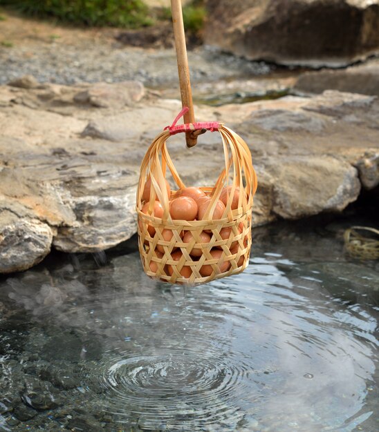Jajka na miękko w koszyku gorącej wiosny.