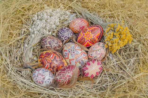 Jajka w gnieździe z siana Kolorowe pisanki w gnieździe