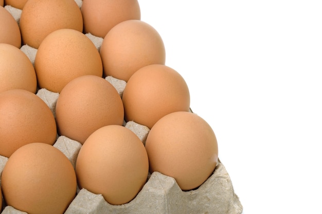 Jajka w panelu jaj