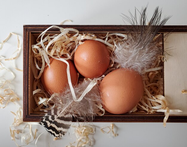 Jajka w pudełku ekologiczne jajko copyspace