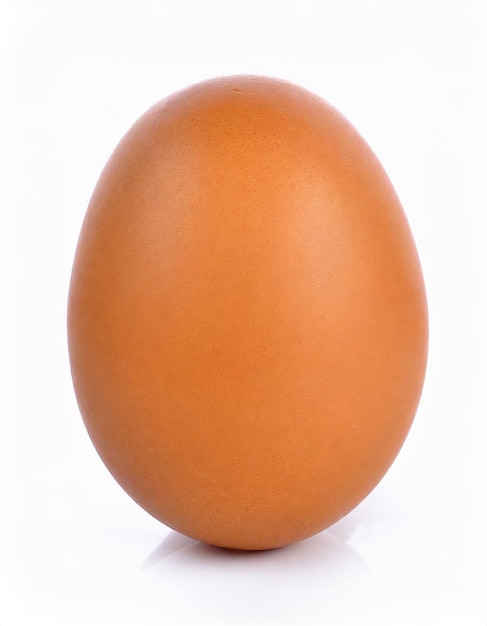 jajko kurczaka wyizolowane na białym tle