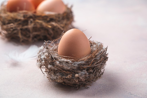 Jajko kurze w gnieździe zbliżenie na jasnym tle Widok z boku selektywne skupienie