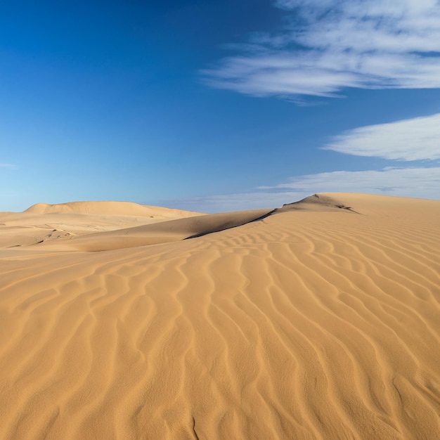 Jak okiem sięgnąć pustynny krajobraz Złoty piasek pokryty olśniewającym błękitem nieba
