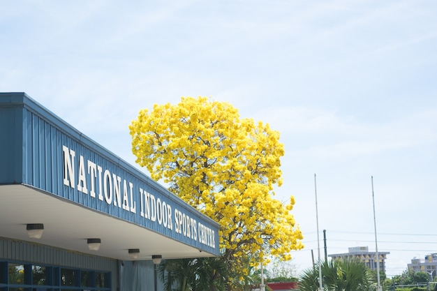 Jamaica National Indoor Stadium