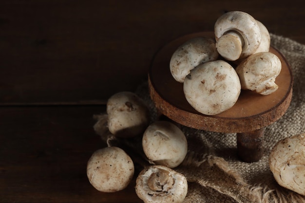 Jamur Kancing Agaricus Bisporus Lub Portobello Pieczarka Lub Pieczarka Lub Pieczarka