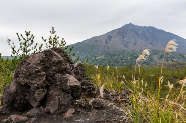 Japonia z wulkanem Sakurajima