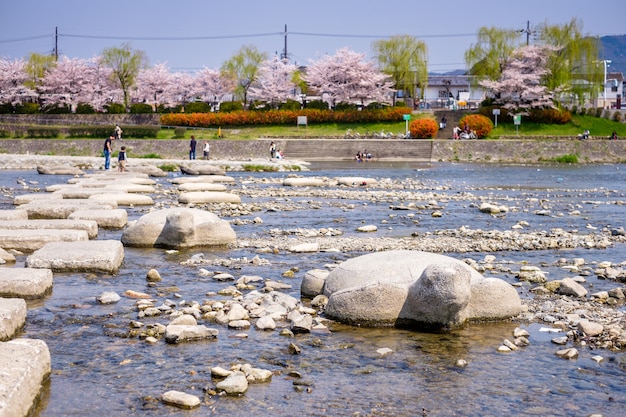 Japonia