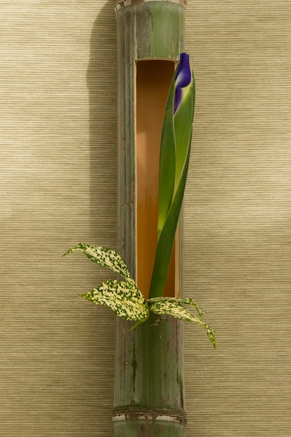 Japońska kompozycja kwiatowa w bambusie