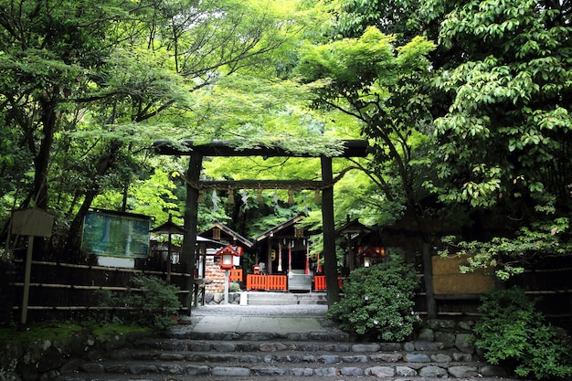 Japońska Świątynia z japońską czerwoną bramą i zielonymi liśćmi klonu w Kioto w Japonii