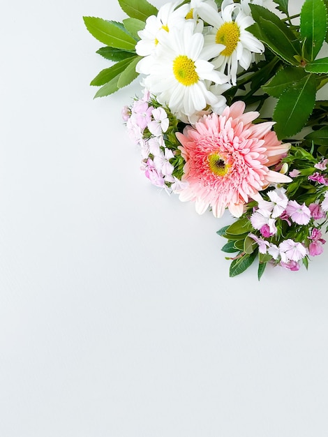 Japoński dianthus gerbera rumianek i wawrzyn