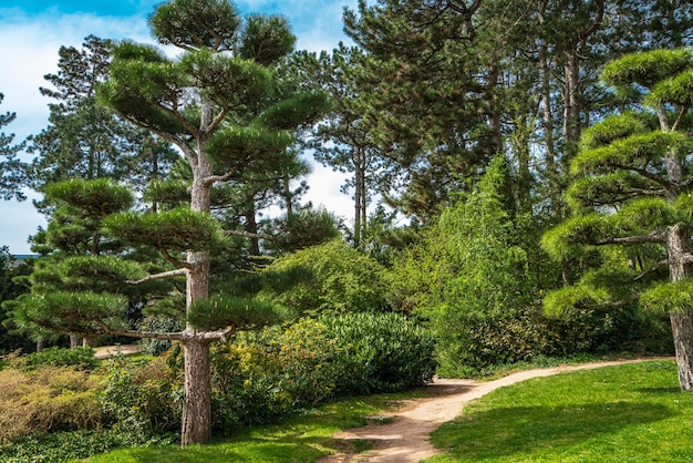 Japoński ogród w Nordpark Dusseldorf Niemcy