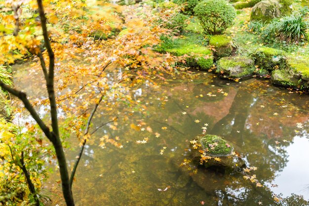Japoński park ogrodowy jesienią