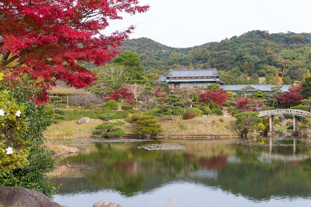 Japoński piękny ogród w sezonie jesiennym