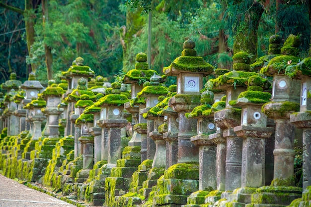 Japońskie lampiony w sanktuarium Kasuga-taisha w Nara w Japonii