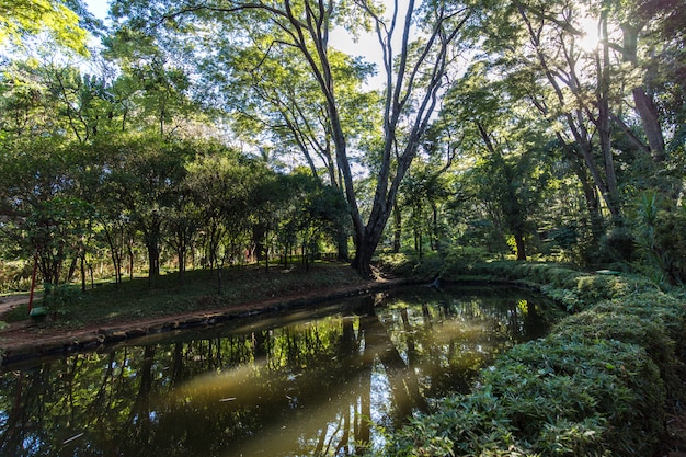 Japońskie ogrody w miejskim zoo Ribeirao Preto Fabio Barreto. Stan Sao Paulo.