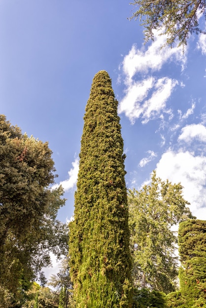 Jardines de Santa Clotilde w Lloret de Mar, Costa Brava, Katalonia, Hiszpania