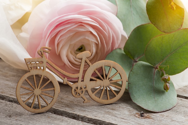 Jaskier różowy, drewniany rower
