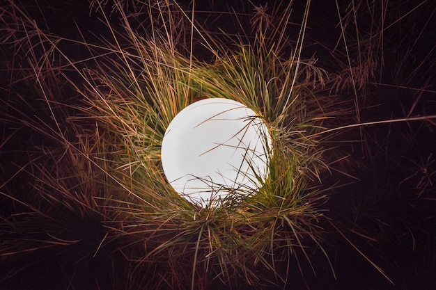Jasna kula w trawie biała kula świeci w trawie zbliżenie okrągła lampa