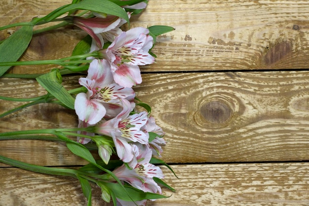 Jasne białe i różowe kwiaty Alstroemeria na czole drewniane teksturowane tło zbliżenie