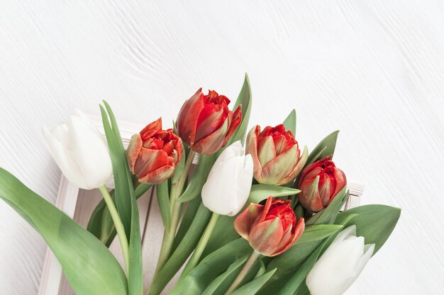 Jasne Czerwone I Białe Tulipany Na Stole