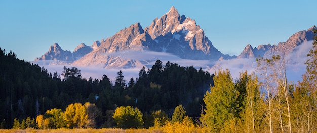 Jasne kolory jesieni w Grand Teton National Park, Wyoming, USA