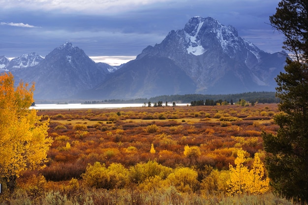 Jasne kolory jesieni w Grand Teton National Park, Wyoming, USA