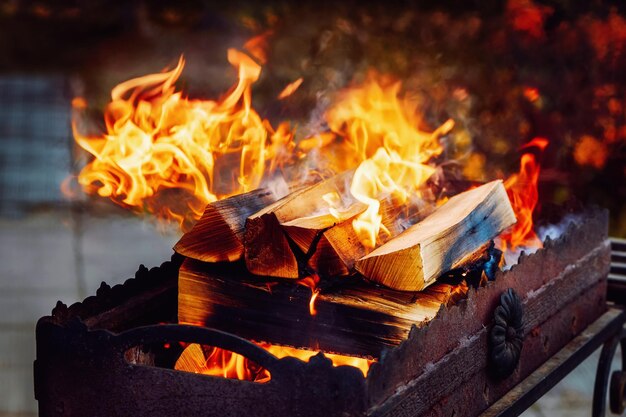 Jasno płonące drewniane kłody z żółtymi gorącymi płomieniami ognia Musujące ognisko w grillu na drewnie opałowym Drewno opałowe spalane na grillu Otwarty ogień Zamknij widok z płytkim DOF