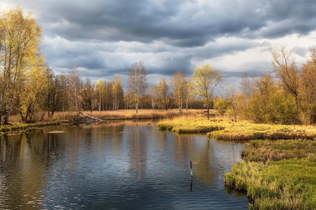 Jasny, dramatyczny wiosenny krajobraz ze starym stawem, drzewa na brzegu i refleksy, Zieleń wiosenny słoneczny krajobraz ze starym stawem