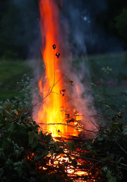 Jasny płomień płonącego ognia nad paleniskiem na zewnątrz
