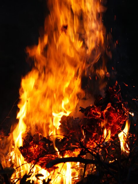 Jasny płomień płonącego ognia nad paleniskiem na zewnątrz