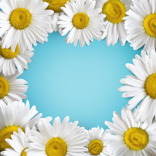 Jasny słoneczny transparent z kwiatami rumianku na niebieskim tle Tło ulotki reklamowej karty upominkowej