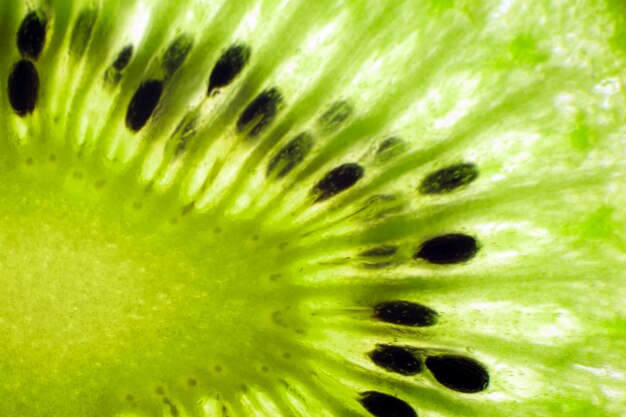 Jasny świeży kiwi