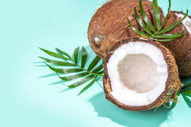 Jasny turkusowy letni tropikalny tło z kokosami Cały i połamany kokos w plasterkach z liśćmi palmowymi na jasnoniebieskim tle miejsca kopiowania