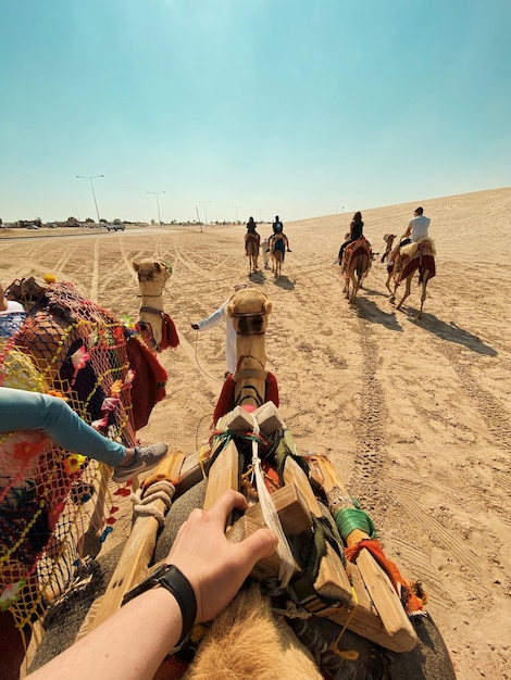 Zdjęcie jazda na wielbłądach na pustyni