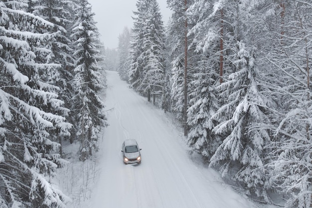 Zdjęcie jazda w pięknym zimowym śnieżnym lesie temat podróży