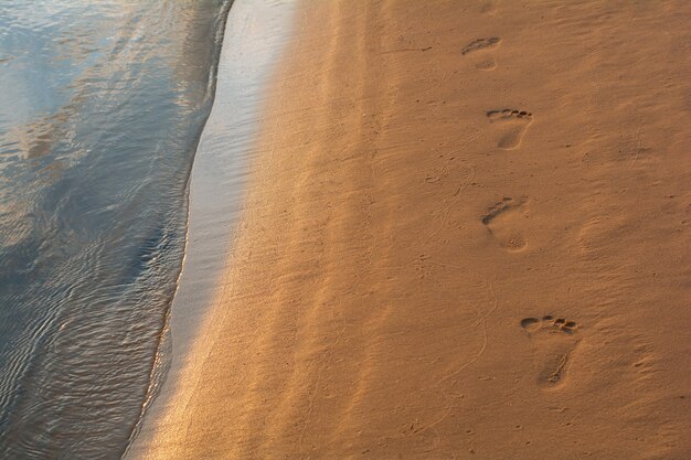 Jeden Ludzki ślad Na Piasku Na Plaży Wieczorem O Zachodzie Słońca