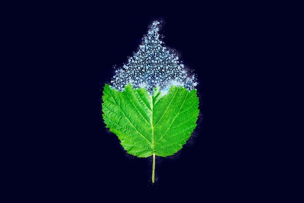 Jeden mroźny zielony liść maliny na ciemnoniebieskim tle niebieski efekt pokryty lodem na liściu