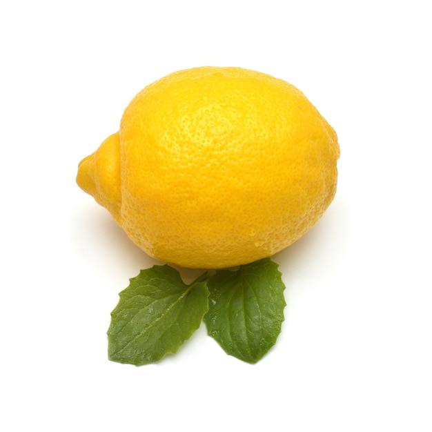 Jeden owoc cytryny tropikalny z liśćmi na białym tle Kreatywne jedzenie i koncepcja sportu Sok makro natura żółty Płaski widok z góry