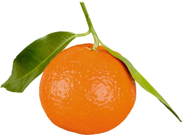 Jeden pomarańczowy owoc na białym tle