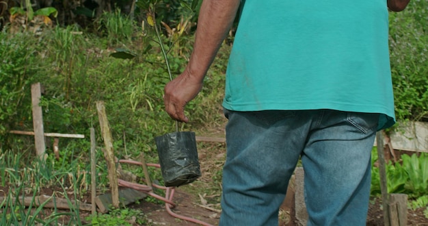Zdjęcie jeden starszy rolnik spacerujący na świeżym powietrzu z narzędziem rolniczym na ramieniu i sadzonką w ręku starszy mężczyzna trzymający motykę i małe drzewo na plantację