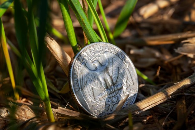 Jedna moneta 50 centów amerykańskich leży na polu rolnym